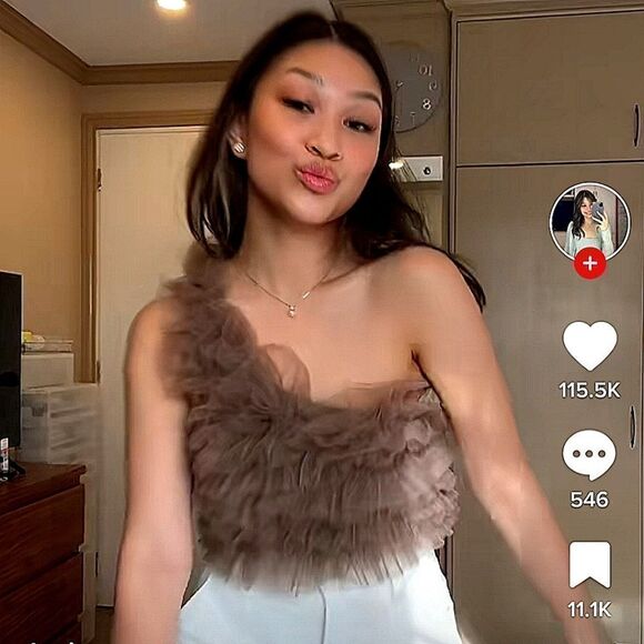 ZARA  ZARA TULLE CROP TOP taupe - Picture 7 of 16